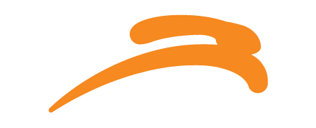CargoSprint Logo